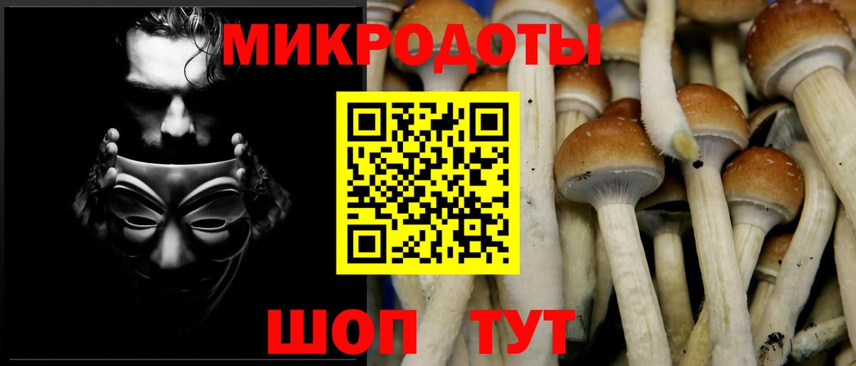 Галлюциногенные грибы мицелий Вышний Волочёк